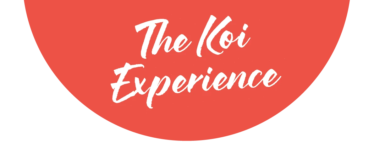 The Koi Experience